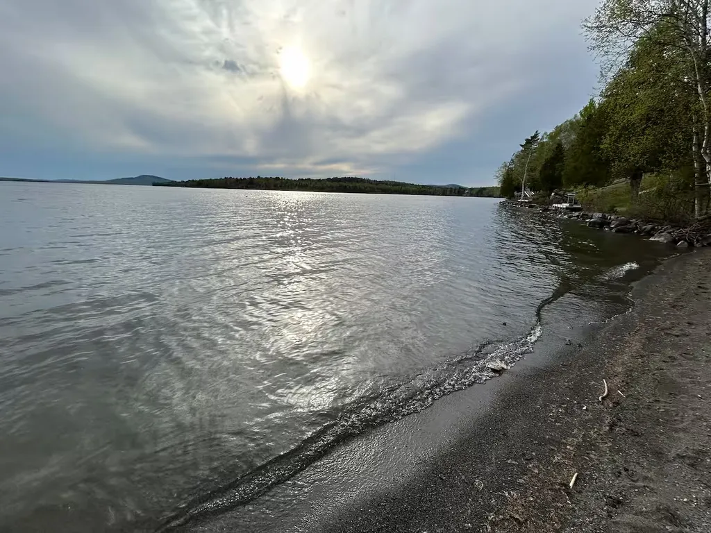 Lake shore and trees