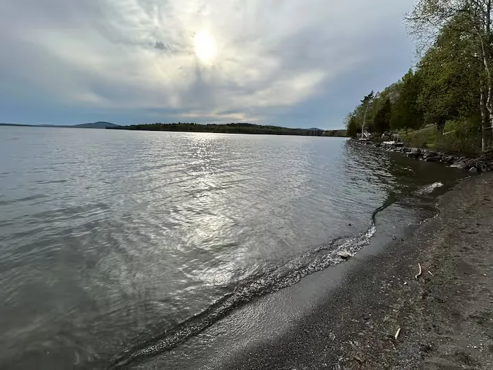 Lake shore and trees