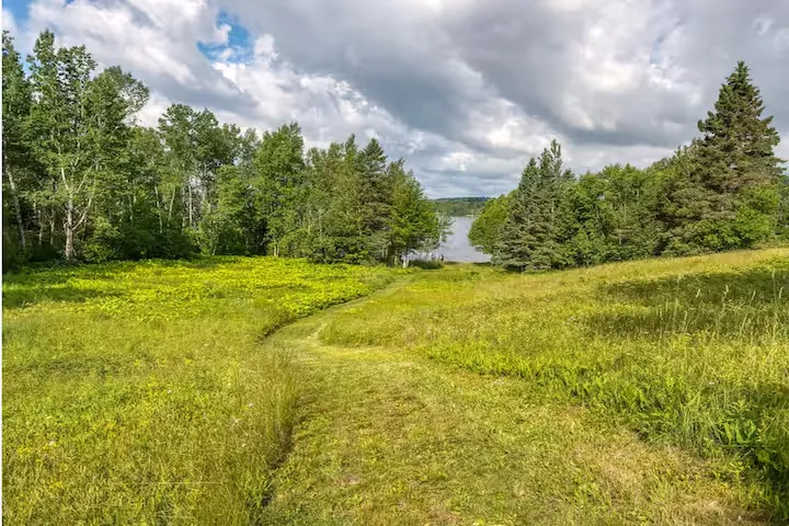 Wooded grounds with a glimpse of the lake