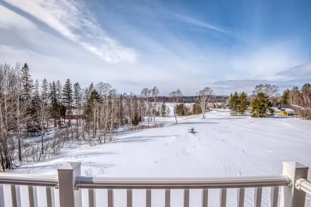 Snowy woodland view from the deck