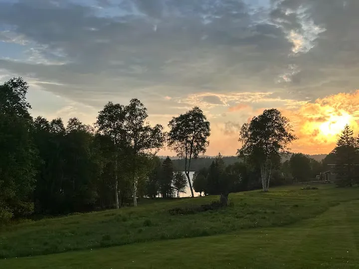 Sunset through the trees