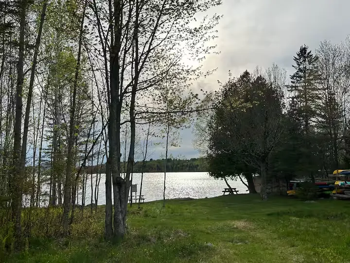 Shared lake access through trees