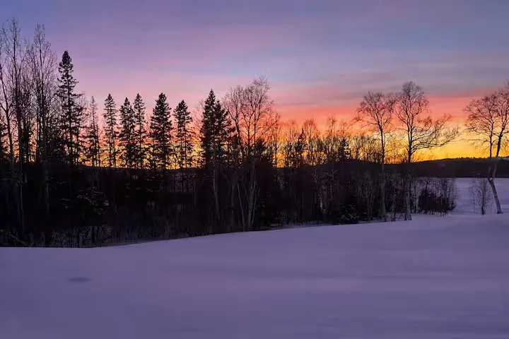 Winter sunset over the trees